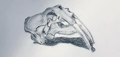 オンライン絵画展 2023